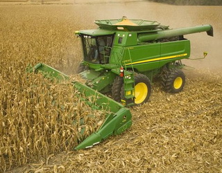 В Україні зібрали кукурудзу з половини площ